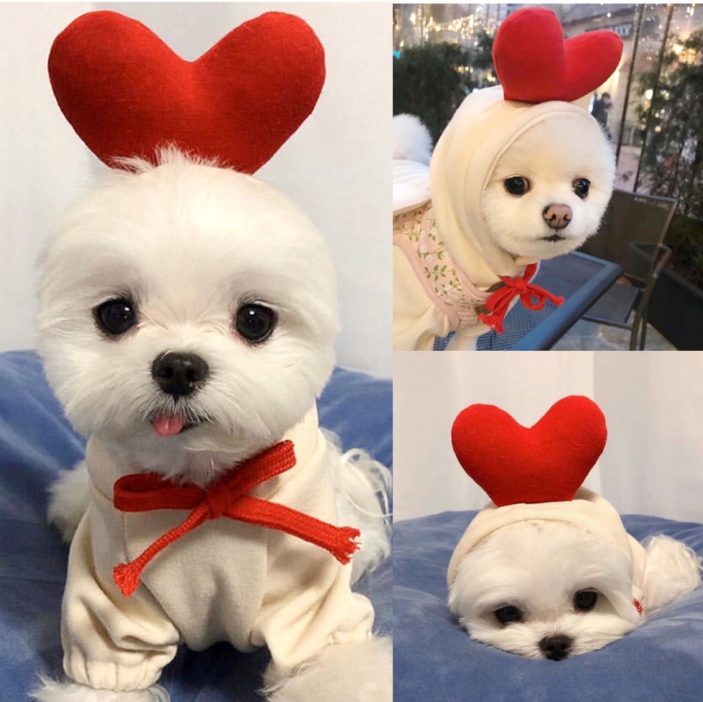 Fruit Hoodie for Small Dogs – Warm Winter Fleece