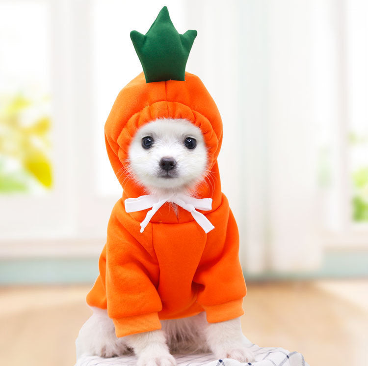 Fruit Hoodie for Small Dogs – Warm Winter Fleece