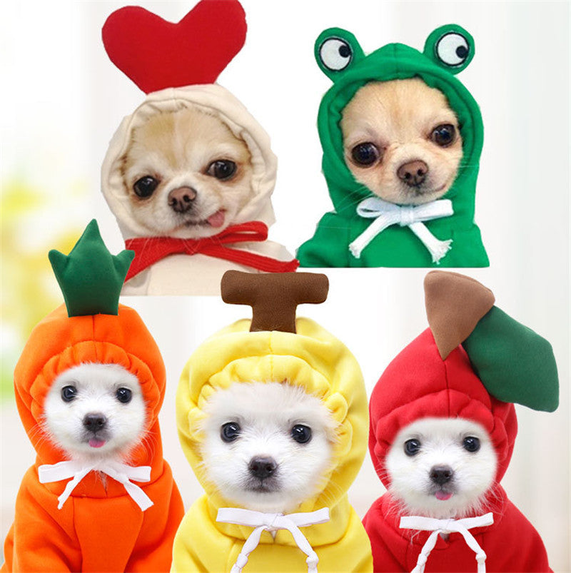 Fruit Hoodie for Small Dogs – Warm Winter Fleece