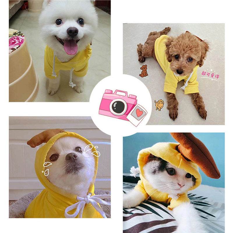 Fruit Hoodie for Small Dogs – Warm Winter Fleece